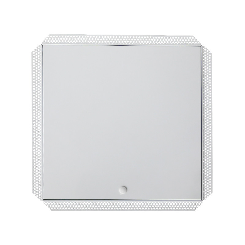 SS-AP251 Zugangsklappe aus Stahl