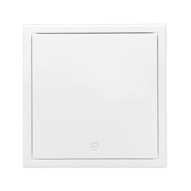 Metallzugangstür SS-AP250FF